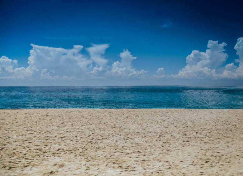 Meilleurs sacs de plage étanches en 2026 - Zulupack